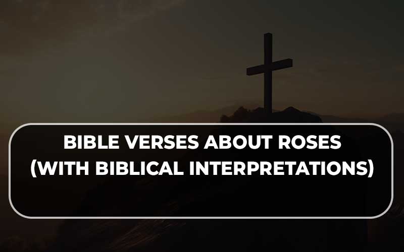 Bible Verses About Roses