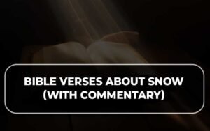 Bible Verses About Snow (With Commentary) » OUR BIBLE HERITAGE
