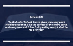 32 Bible Verses About Seeds (With Commentary) » OUR BIBLE HERITAGE