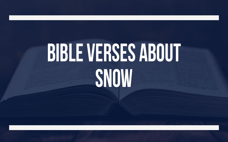 32 Bible Verses About Snow (With Commentary)