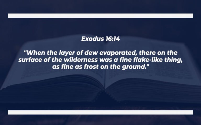 Scripture About Snow 32 Bible Verses About Snow (With Commentary) » OUR BIBLE HERITAGE