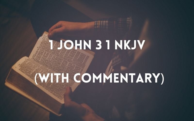 1 john 3 1 nkjv