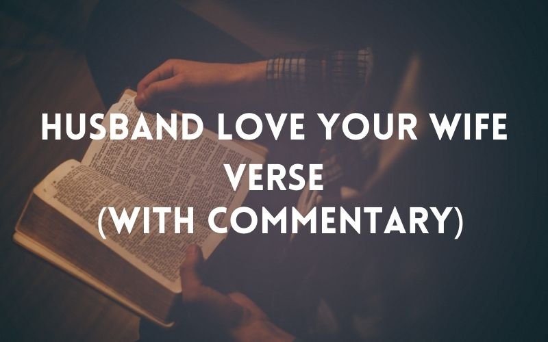 husband love your wife verse