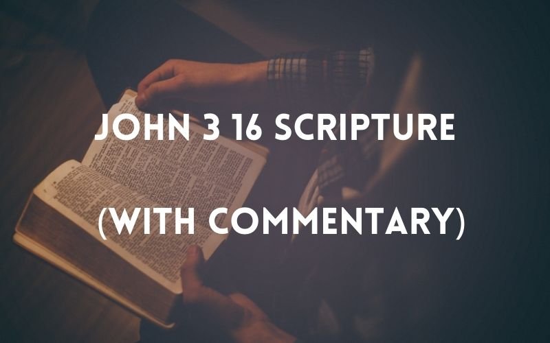john 3 16 scripture